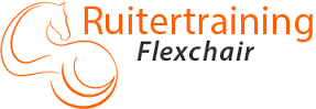 Netwerk Ruitertraining Flexchair