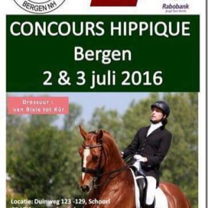 concours hippique